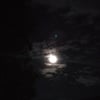 Banie.’s profile picture