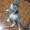 Kathleen J.’s profile picture