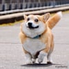 Audrey S.’s profile picture