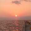 Amelie s.’s profile picture