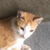 Ivy M.’s profile picture