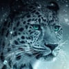 Sarthak .’s profile picture