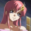 Donna R.’s profile picture
