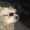 Angelica P.’s profile picture