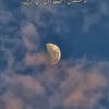 Tehreem F.’s profile picture
