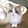 Asmae s.’s profile picture