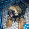 Doss.’s profile picture