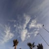 Menna A.’s profile picture