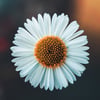 ERIKA F.’s profile picture