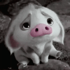 Vanessa D.’s profile picture