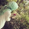 Profile picture of sarahussain., data entry
