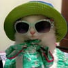Maria N.’s profile picture