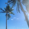 Jean C.’s profile picture