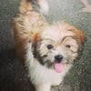 Choi D.’s profile picture