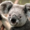Kyla D.’s profile picture