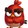 Bilalraja .’s profile picture