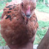 Clark.’s profile picture