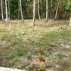 Loida M.’s profile picture