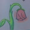Sean M.’s profile picture