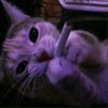 Profile picture of Muhammad W., Looking to work as a virtual assistant. 