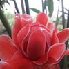 Profile picture of Jhun c., Data encoding and data entry 