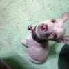 Profile picture of cricel b., virtual assistant