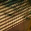 Profile picture of Aldin k., Draftsman/Autocad Operator