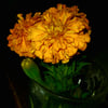 Edith s.’s profile picture