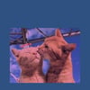 MariaDale.’s profile picture