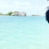 Enrique.’s profile picture