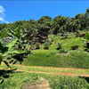 Profile picture of ScriptCraft S., ScriptCraft Solutions 