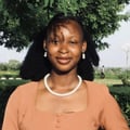 Hire Okonkwo-Uwandulu J. - Virtual assitant 