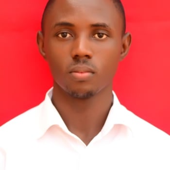 Hire Egbunu J. - Data analyst