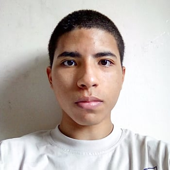 Hire Daniel E. - Asistente Virtual | Soporte Administrativo | Productividad con IA & Canva