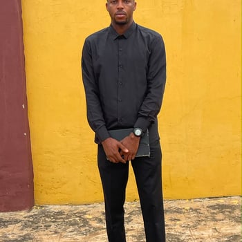 Hire Emmanuel  . - Operational & Sales Virtual Assistant
