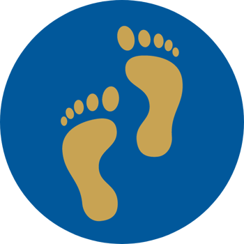 Barefoot Land Co logo