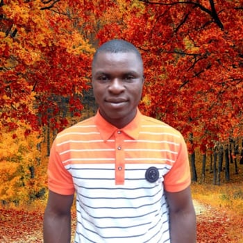 Fidelis D.