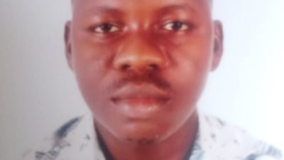 Ibrahim o. introduction