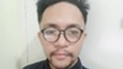 Bismark N. introduction
