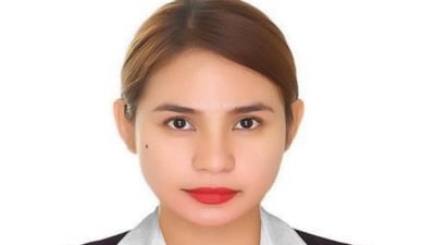 Ansherina. introduction