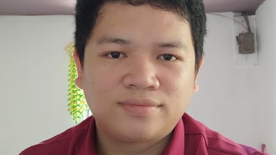 Leonardo N. introduction