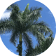 Vacation Next Exit Company logo
